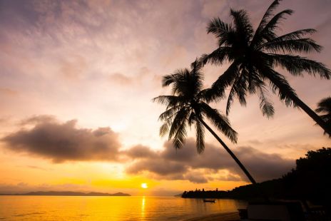 Почивка в Дидим, Турция с автобус от София- 12 нощувки