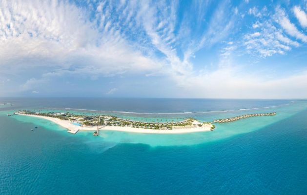 JOY ISLAND