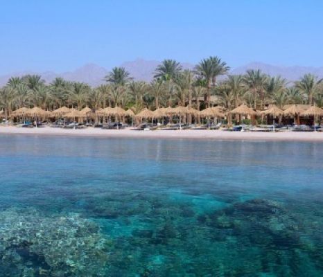 JAZ SHARM DREAMS RESORT
